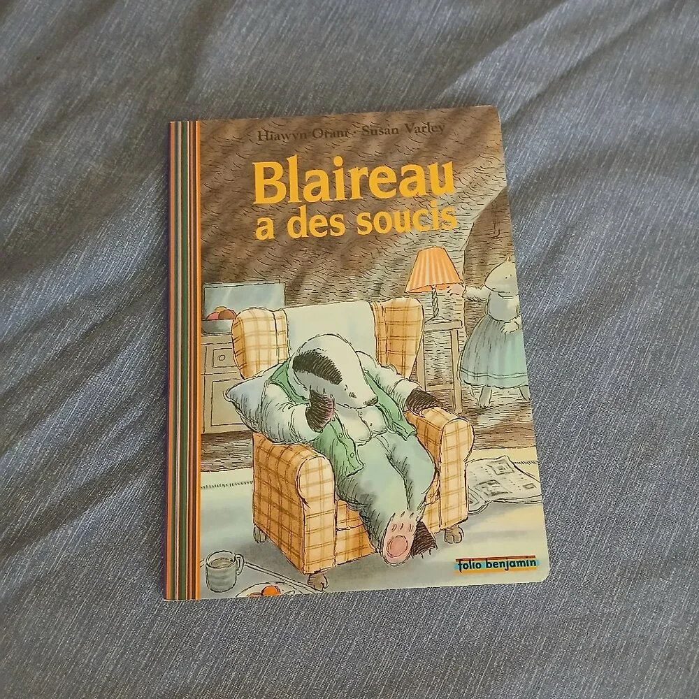 Blaireau a des Soucis by Hiawyn Oram 1997 French New Paperback